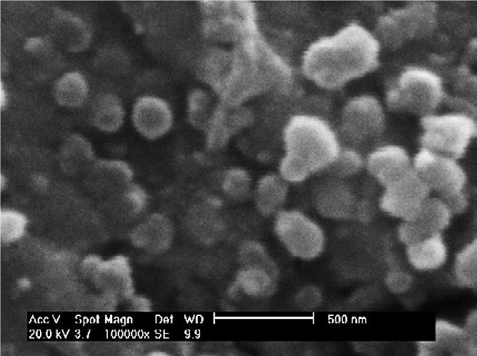 نانو دی اکسید تیتانیوم